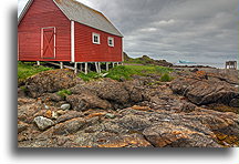 Newfoundland