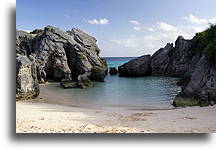 Jobson Cove::Bermuda::