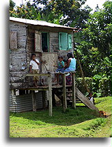 Carib People