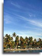 The Beach at Marigot Bay::St. Lucia, Caribbean::