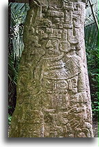 Stela 14::El Ceibal, Gwatemala::