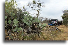 Morning on the Hill::state Guanajuato, Mexico::