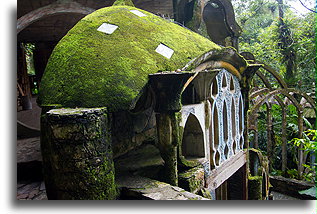 The Parakeet's House #1::Las Pozas, San Luis Potosi, Mexico::