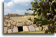 Drainage::Plazuelas, Guanajuato, Mexico::