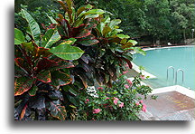 Thermal pool::San Luis Potosi, Mexico::
