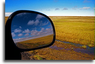 Tundra arktyczna::Arktyczna część Alaski, Stany Zjednoczone::