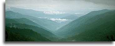 Hazy-Blue Fog::North Carolina, United States::