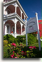Victorious Pink::Cape May, New Jersey, USA::