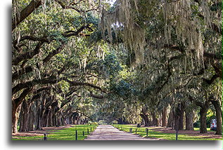 South Carolina
