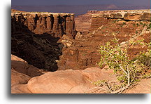 Kanion Gooseberry::Canyonlands, Utah, USA::