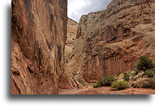 Wielka sucha rzeka #6::Capitol Reef, Utah, USA::