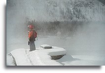 Geyser Basin